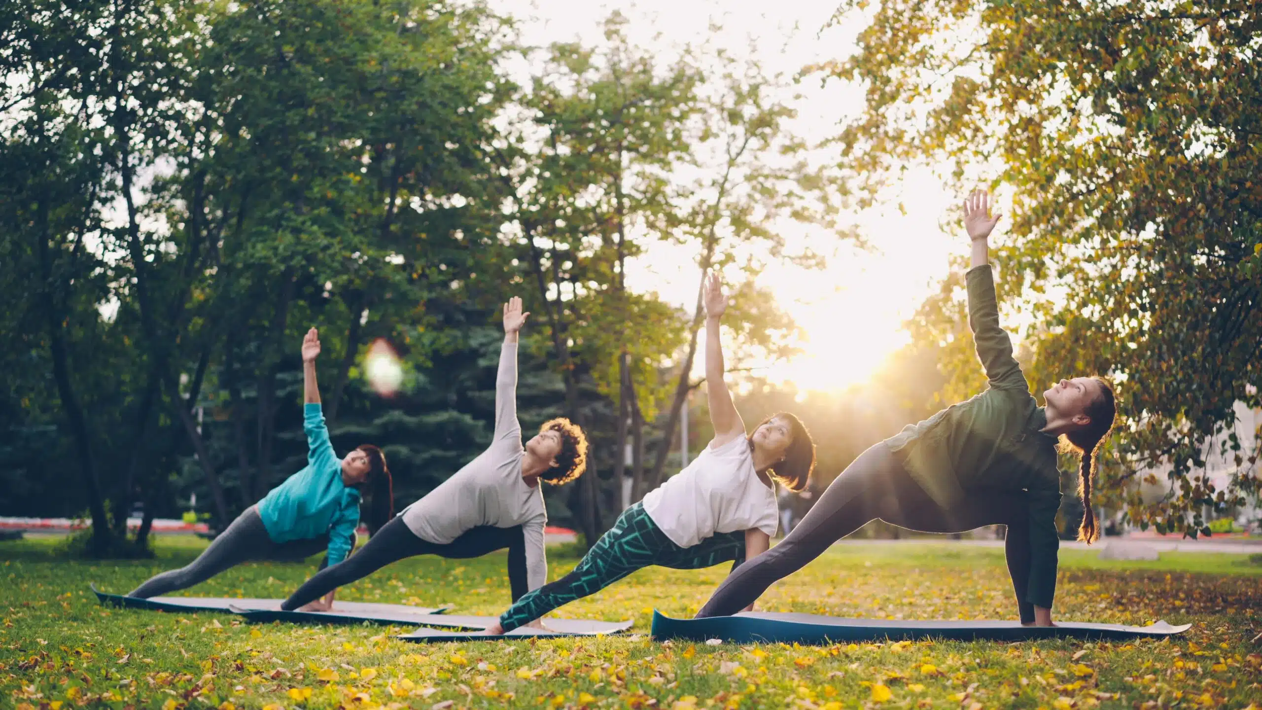 Health & Wellness