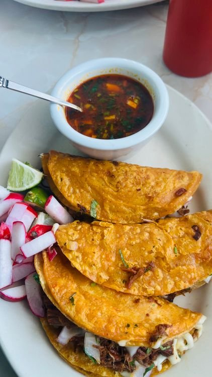 birria tacos for beginners